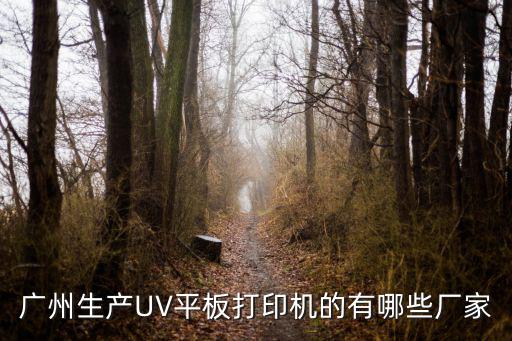 廣州生產(chǎn)UV平板打印機(jī)的有哪些廠家