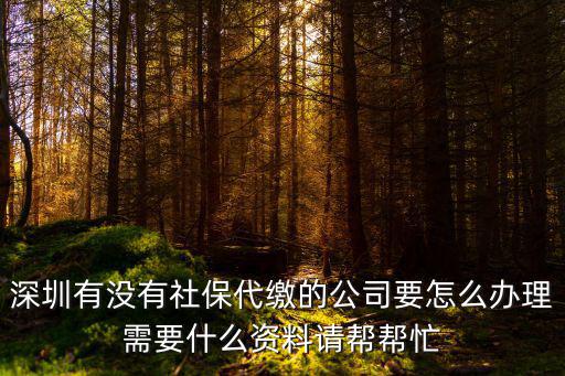 深圳有沒有社保代繳的公司要怎么辦理需要什么資料請幫幫忙