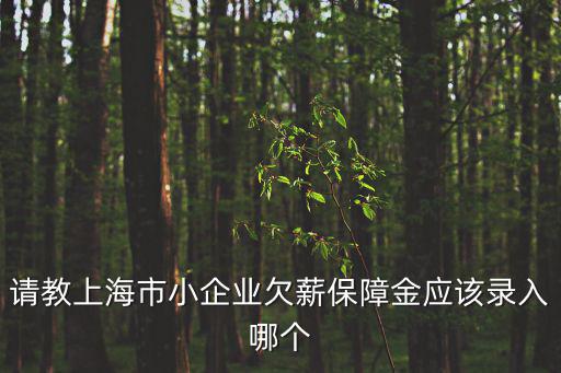 請教上海市小企業欠薪保障金應該錄入哪個