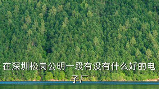 在深圳松崗公明一段有沒有什么好的電子廠