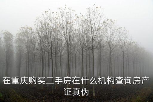 在重慶購買二手房在什么機構查詢房產證真偽