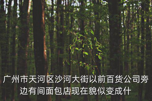 廣州市天河區沙河大街以前百貨公司旁邊有間面包店現在貌似變成什