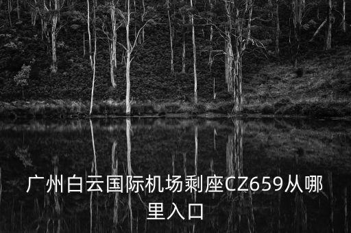 廣州白云國際機場剩座CZ659從哪里入口