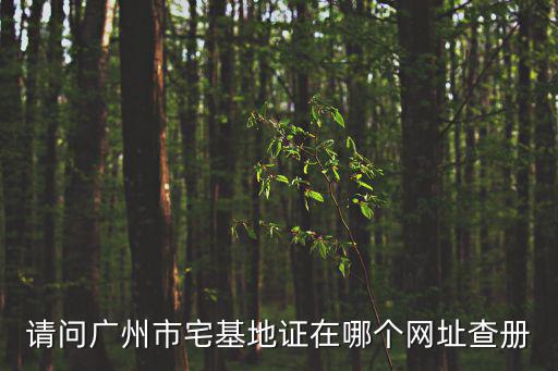 廣州白云區(qū)房產(chǎn)查詢，廣州市白云區(qū)房管局查詢宅基地證的詳情