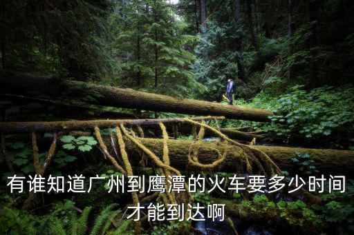 廣州 鷹潭 高鐵時刻表查詢，從鷹潭到廣州動車的具體時刻表