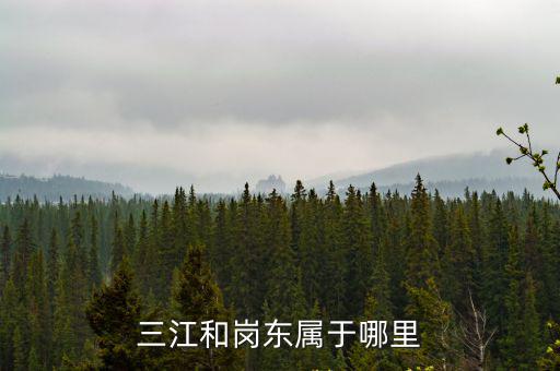 三江和崗東屬于哪里