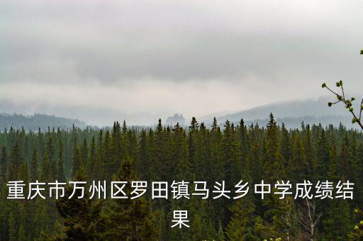 重慶市萬州區羅田鎮馬頭鄉中學成績結果