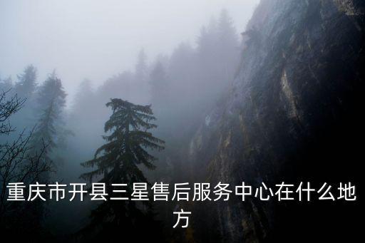 重慶市開州區(qū)迎賓社區(qū)在什么地方，延安市百米大道和迎賓大道是不是一回事