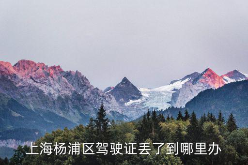 上海楊浦區駕駛證丟了到哪里辦