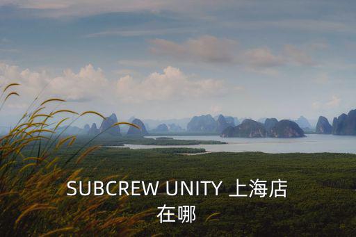 SUBCREW UNITY 上海店在哪