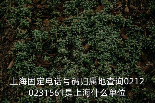 上海市委組織部信息處，想知道上海市 QQAP地址1148616767 在哪