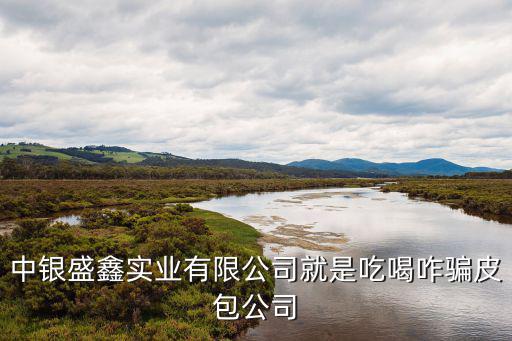 東莞盛鑫公司，盛鑫電子有限公司