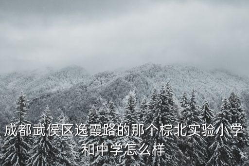 成都武侯區(qū)逸霞路的那個棕北實驗小學和中學怎么樣