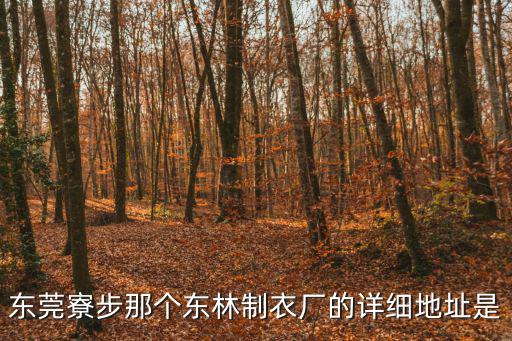 東莞寮步那個東林制衣廠的詳細地址是