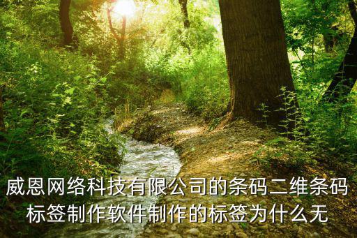 威恩網絡科技有限公司的條碼二維條碼標簽制作軟件制作的標簽為什么無