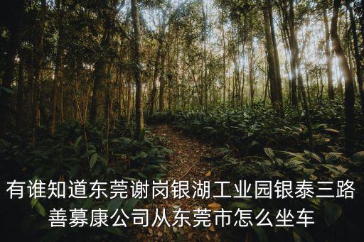 有誰知道東莞謝崗銀湖工業園銀泰三路善募康公司從東莞市怎么坐車