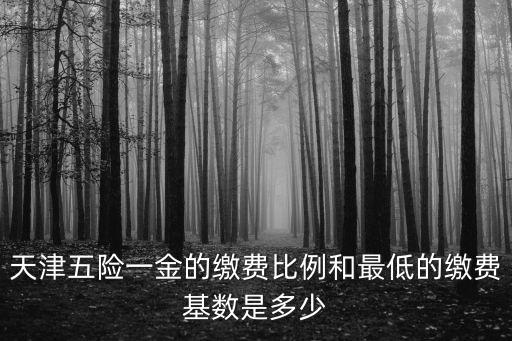 天津五險(xiǎn)一金的繳費(fèi)比例和最低的繳費(fèi)基數(shù)是多少