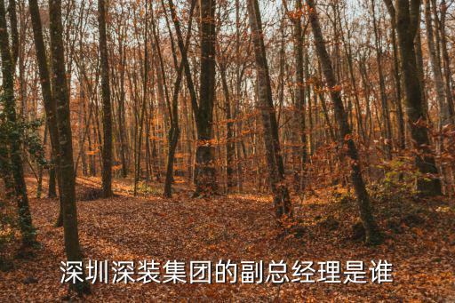 深圳深裝集團的副總經理是誰