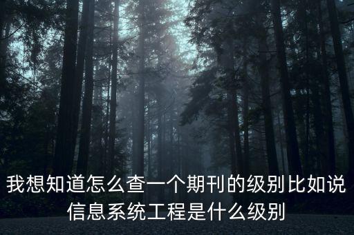我想知道怎么查一個期刊的級別比如說信息系統工程是什么級別