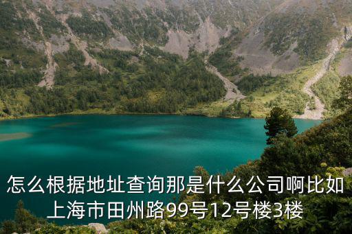 怎么根據地址查詢那是什么公司啊比如上海市田州路99號12號樓3樓