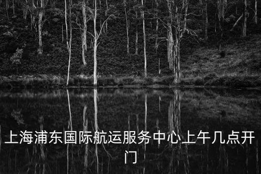 上海浦東國際航運服務(wù)中心上午幾點開門