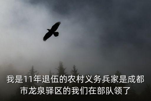 成都市王場部隊，成都軍區(qū)總醫(yī)院 華西 先心病哪個更好