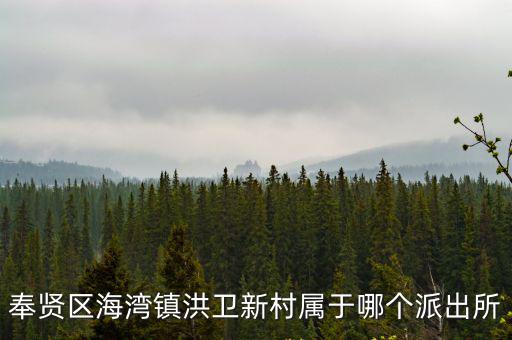 奉賢區海灣鎮洪衛新村屬于哪個派出所