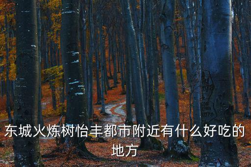 東城火煉樹怡豐都市附近有什么好吃的地方