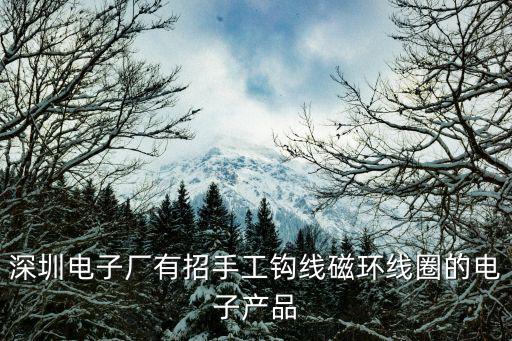 深圳電子廠有招手工鉤線磁環線圈的電子產品