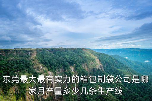 東莞最大最有實力的箱包制袋公司是哪家月產量多少幾條生產線