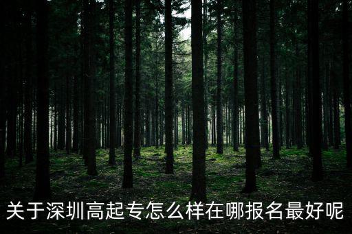 關(guān)于深圳高起專怎么樣在哪報(bào)名最好呢