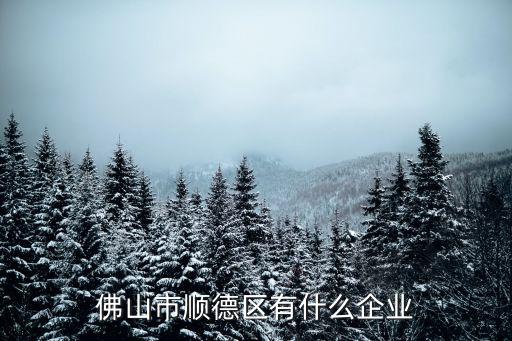 佛山市順德區(qū)有什么企業(yè)