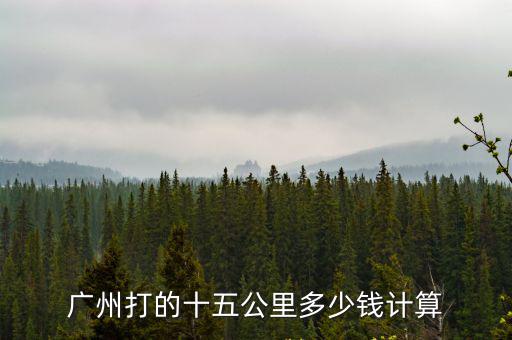 廣州打的十五公里多少錢計(jì)算