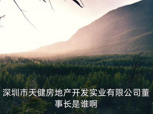 深圳市天健房地產開發實業有限公司董事長是誰啊