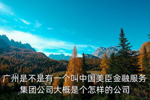 廣州是不是有一個叫中國美臣金融服務集團公司大概是個怎樣的公司