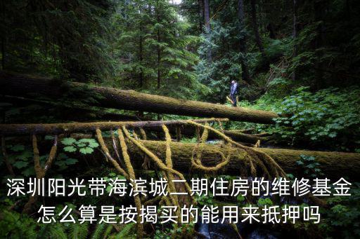 深圳陽光帶海濱城二期住房的維修基金怎么算是按揭買的能用來抵押嗎