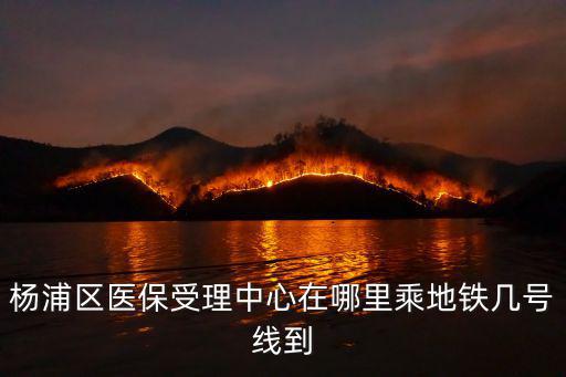 楊浦區(qū)醫(yī)保受理中心在哪里乘地鐵幾號(hào)線到