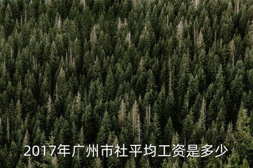 廣州2017養老平均，廣州市現在的人均收入是多少