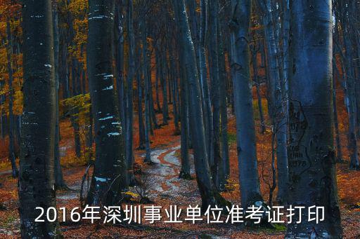 2016年深圳事業單位準考證打印