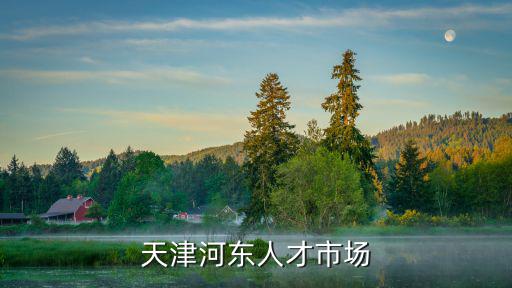 天津河東人才市場