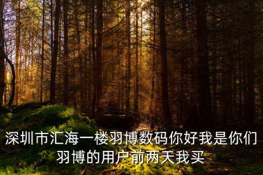 深圳市匯海一樓羽博數碼你好我是你們羽博的用戶前兩天我買