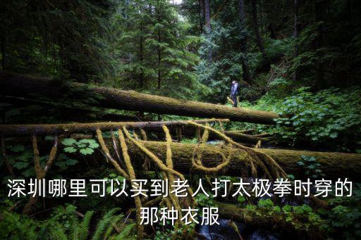 深圳 太極拳專業委員會，深圳哪里可以買到老人打太極拳時穿的那種衣服