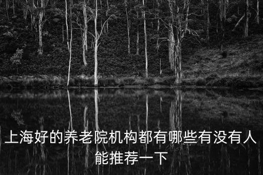 上海市的敬老院，上海好的養老院機構都有哪些有沒有人能推薦一下