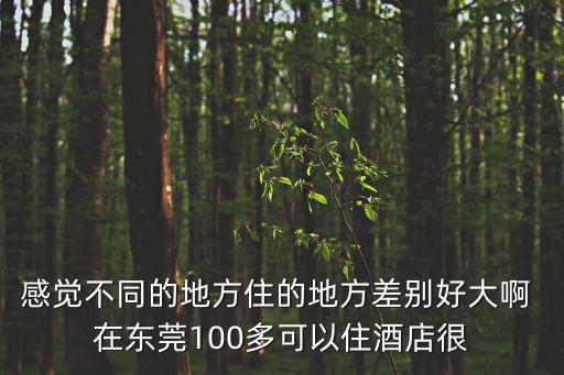 感覺不同的地方住的地方差別好大啊 在東莞100多可以住酒店很
