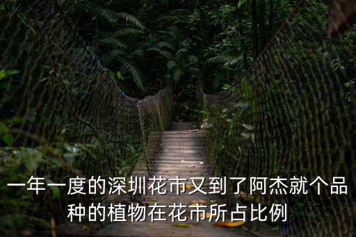 一年一度的深圳花市又到了阿杰就個品種的植物在花市所占比例