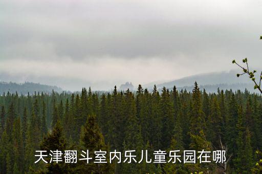 天津翻斗室內(nèi)樂兒童樂園在哪