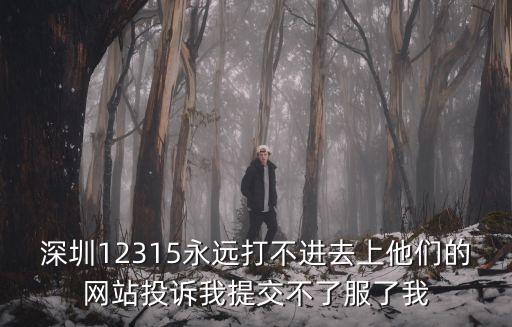 深圳12315永遠打不進去上他們的網站投訴我提交不了服了我