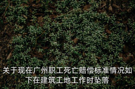 關(guān)于現(xiàn)在廣州職工死亡賠償標(biāo)準(zhǔn)情況如下在建筑工地工作時(shí)墜落