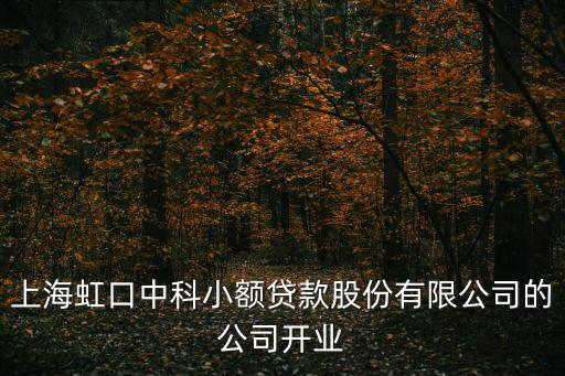 上海虹口中科小額貸款股份有限公司的公司開業