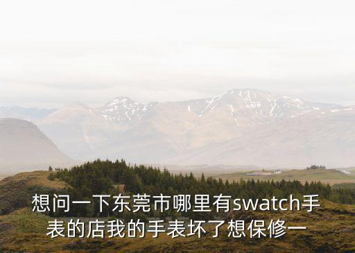 想問一下東莞市哪里有swatch手表的店我的手表壞了想保修一